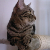 Photo de profil de Jules