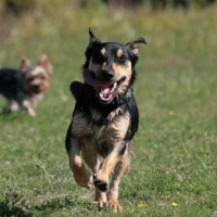 Photo de profil de Toby