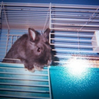 Photo de profil de Chips