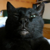 Photo de Poutch