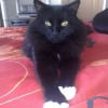 Photo de Booba