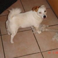Photo de profil de Chipie