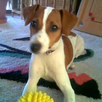 Photo de profil de Lola
