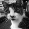 Photo de Truc