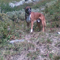 Photo de profil de Singha