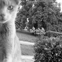 Photo de profil de Toubidoo