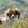 Photo de Zora