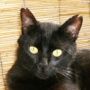Photo de Soudan