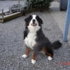 Photo de Bilka