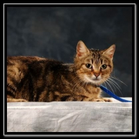 Photo de profil de Milly