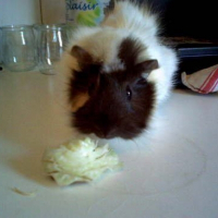 Photo de profil de Yumi