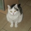 Photo de Leeloo