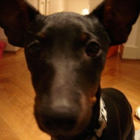 Photo de profil de Thao