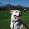 Photo de Nala