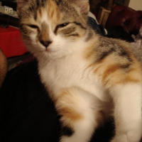 Photo de profil de Nessy
