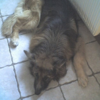 Photo de profil de Vlack
