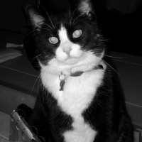 Photo de profil de Billy