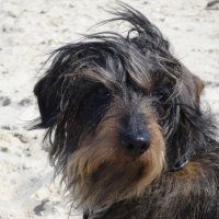 Photo de profil de Cox