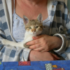 Photo de Cacahuehete 