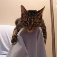 Photo de profil de Zoe