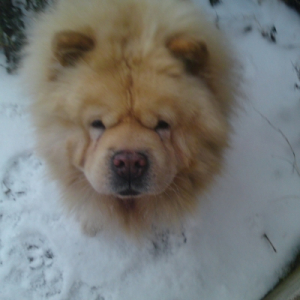 Photo de profil de Nounours