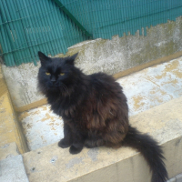 Photo de profil de Salem