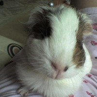 Photo de profil de Nanou