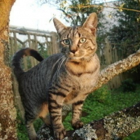 Photo de profil de Slévin