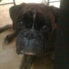 Photo de Flip