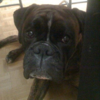 Photo de profil de Flip