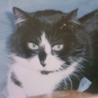 Photo de profil de Titi