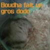 Photo de Boudha