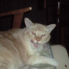 Photo de Praline
