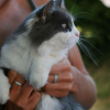 Photo de Tartine
