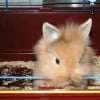 Photo de Roro