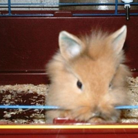 Photo de profil de Roro
