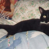 Photo de profil de Mimi 