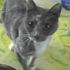 Photo de Boulette