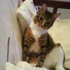 Photo de Budy