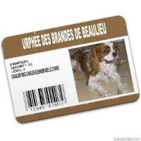 Photo de profil de Urphée des brandes de beaulieu