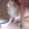 Photo de Calinou