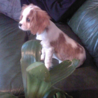 Photo de profil de Duriane