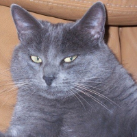 Photo de profil de Ulysse 