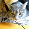 Photo de Maxou