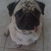 Photo de profil de Raymond