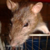 Photo de Keikoku