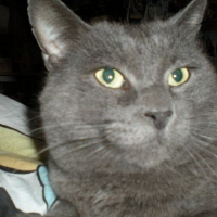 Photo de profil de Séraphin