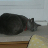 Photo de Kilya