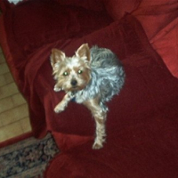 Photo de profil de Neyla