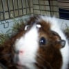 Photo de Freezbee